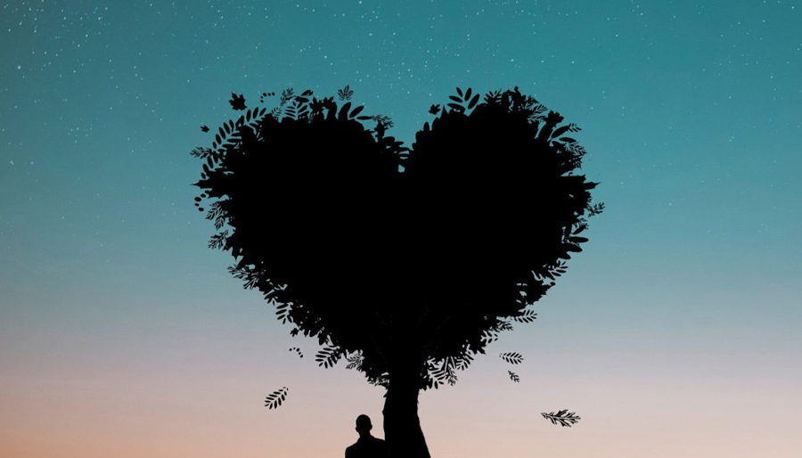 firstanniversary